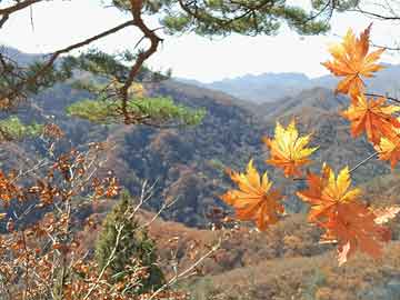 建业客场挑战华夏幸福，力争客场取分，华夏路建业